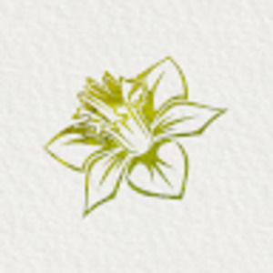 Meet your Posher, Narjis